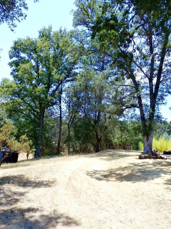 New Charming 2 Bedrooms Unit Close To Everything * Oakhurst